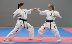 Lietuvos kiokušin karatė KATA čempionatas