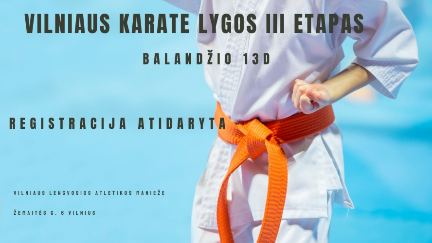 Vilniaus Karate Lyga III etapas