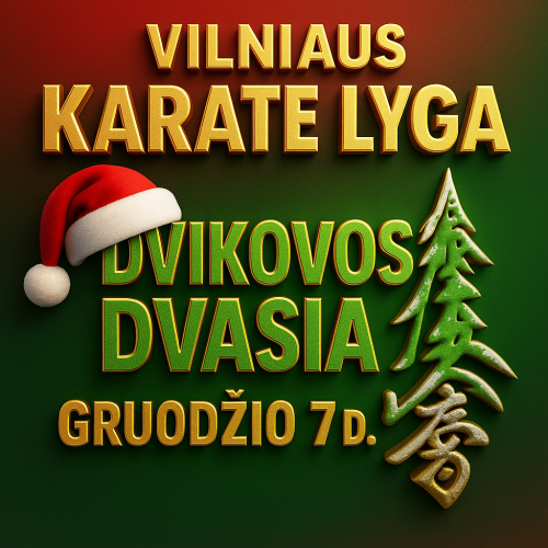 Vilniaus karate lyga Dvikovos Dvasia